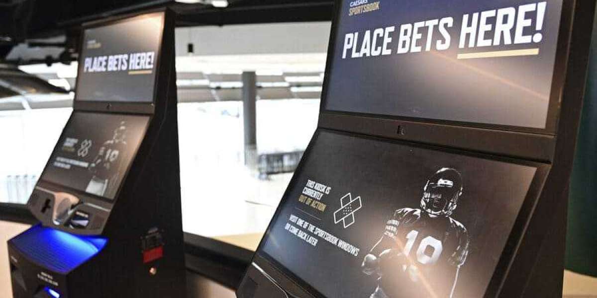 Rolling the Dice: The High-Stakes World of Sports Gambling