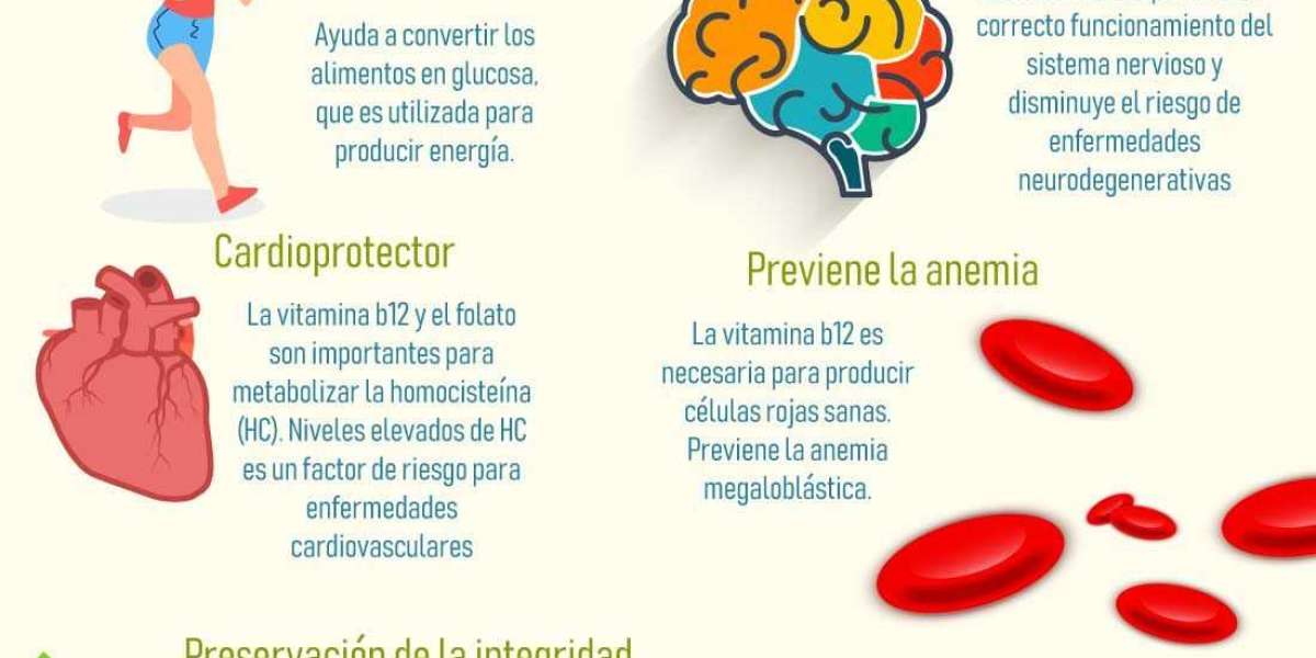 ¿El complejo de vitamina B ayuda a perder peso?