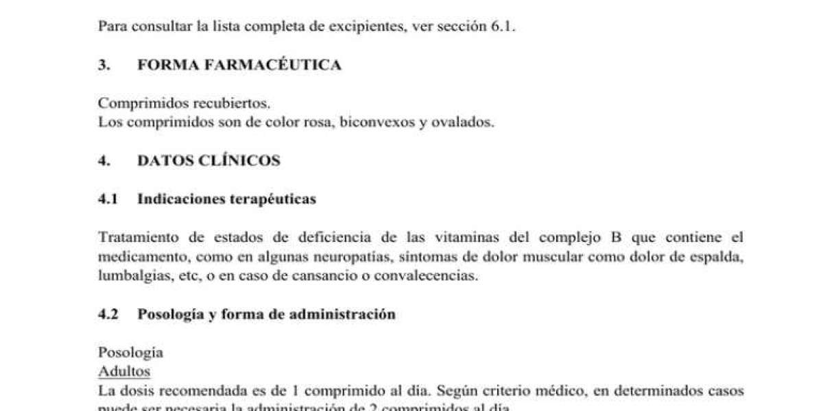 ¿Qué Es El Romero? Propiedades, Beneficios Y Aplicaciones