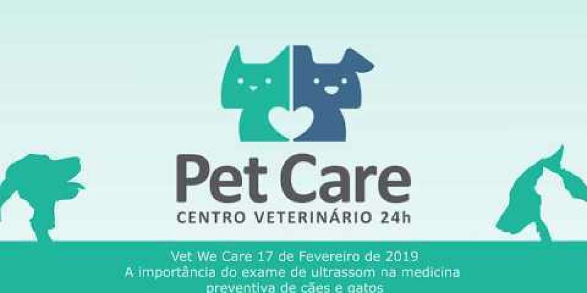 Monitor Your Pets Health with PetPace