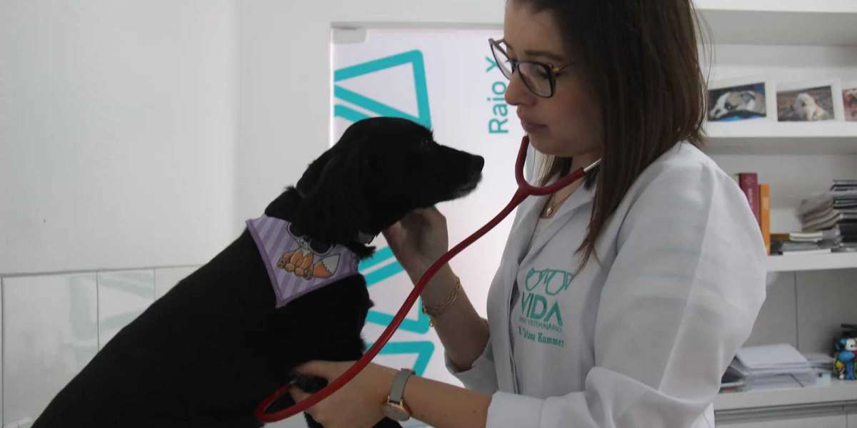 Combo Perfil Gold: Eleve o Cuidado com Seu Pet a um Novo Patamar com Exames Veterinários de Excelência