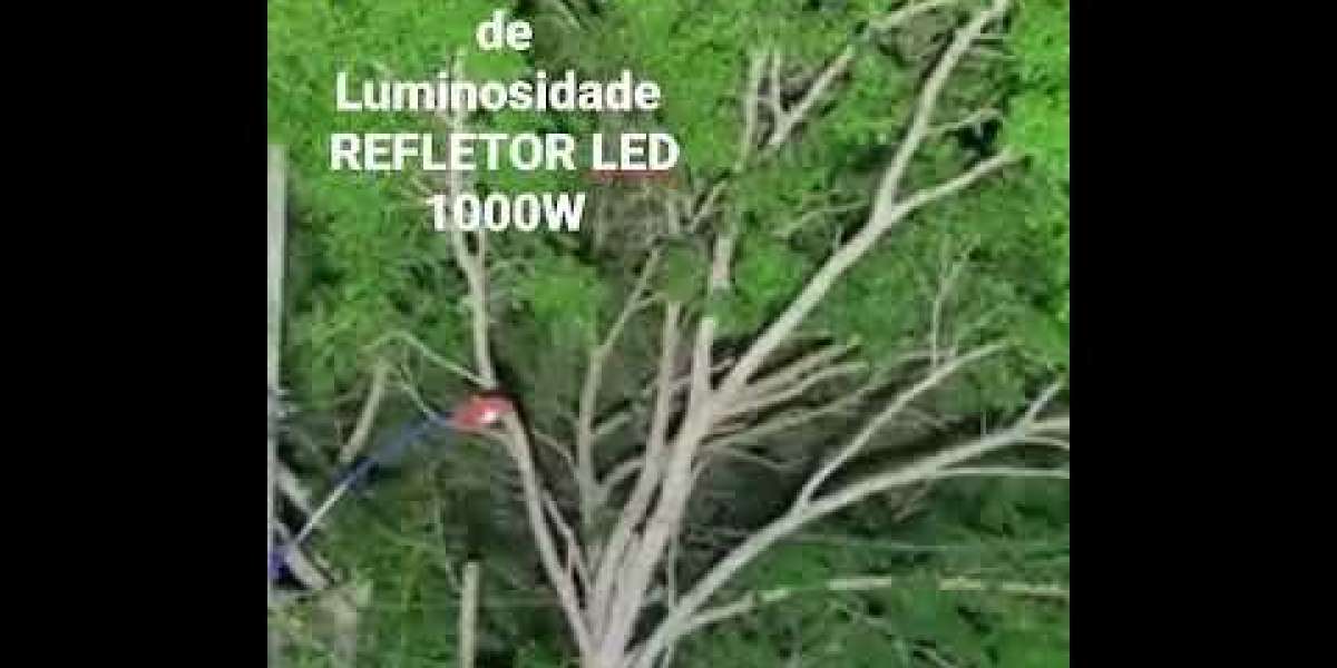 Iluminação Ideal: Select Luminárias LED Perfeitas para Quadras de Basquete