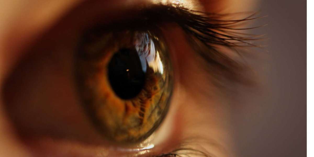 Saudi Arabia Vision Care Market Thrives on Technological Advancements and Growing Eye Health Awareness