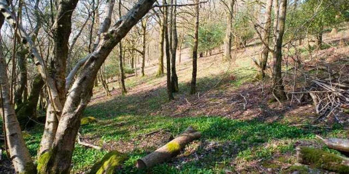 Wachstumshormon: Aufbau und Wirkungsweise