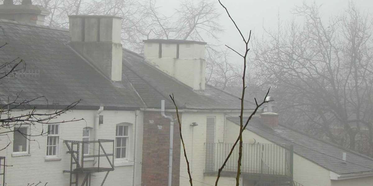 Wachstumshormon-Aktivitäten und ihre Regulierung