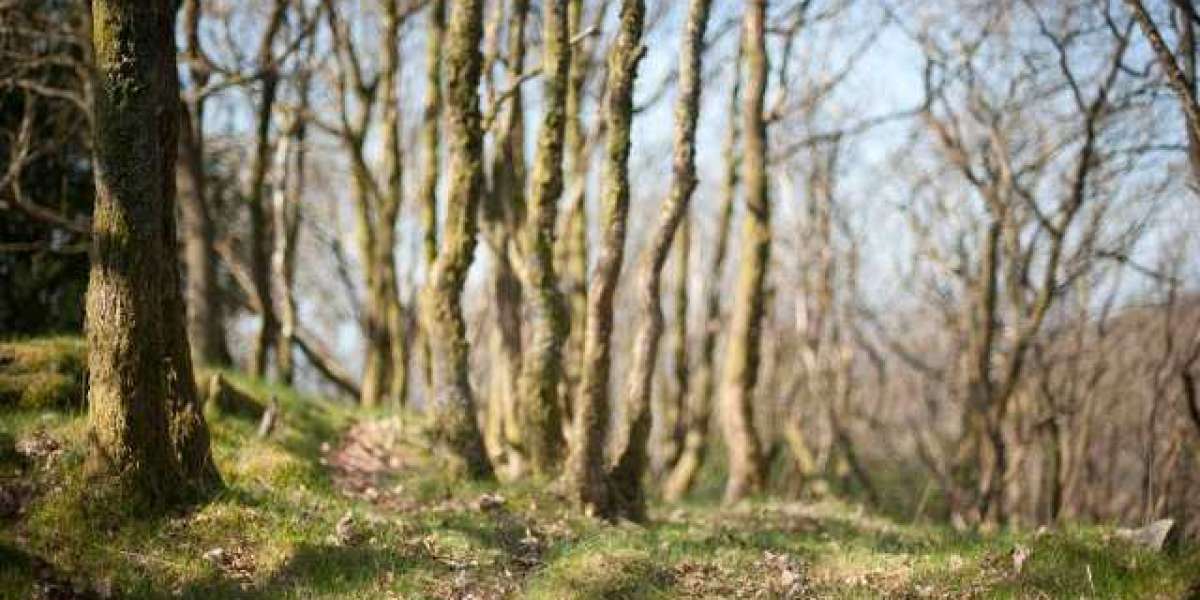 Wachstumshormon: Blut- und Laborwerte im Überblick