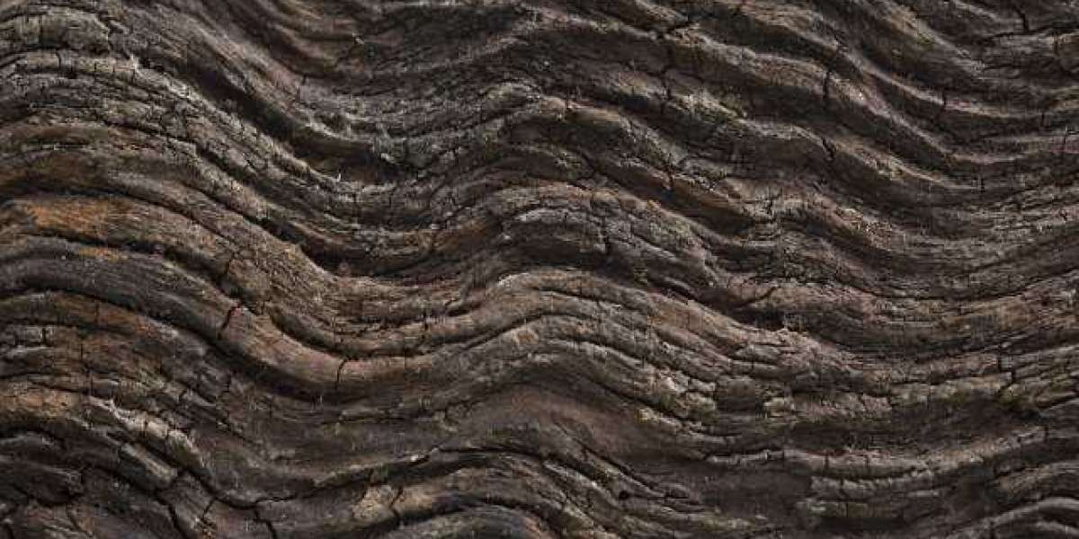 Free Online Casino Games Play Everything for Fun