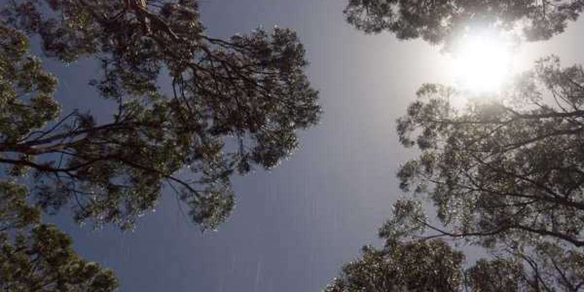 Facility Amenities Darwin Resorts & Casino Accommodations