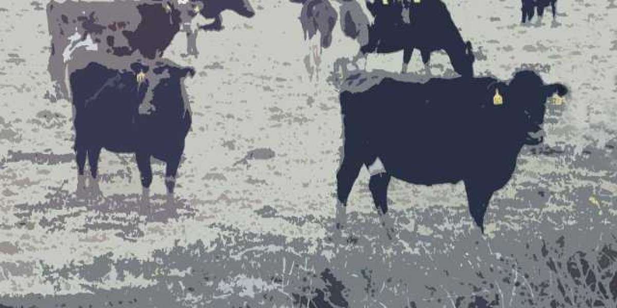 Best Online Casinos Australia 2025 Trusted & Safe AU Sites