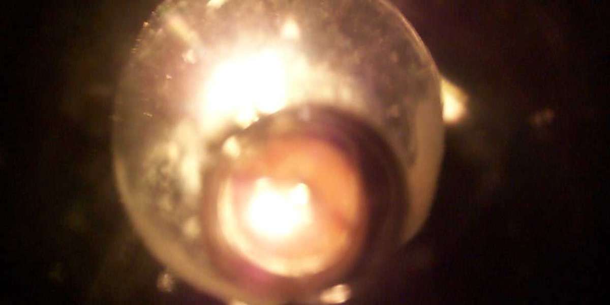 The Star Entertainment Group ASX:SGR Share Price News