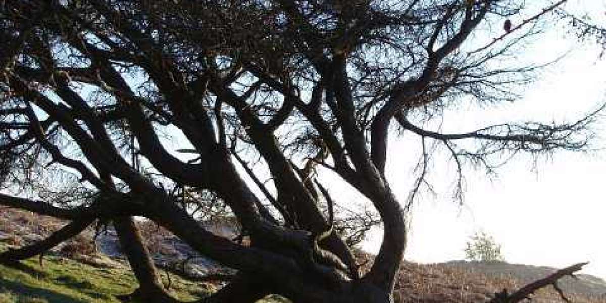 Sito ufficiale del casinò online