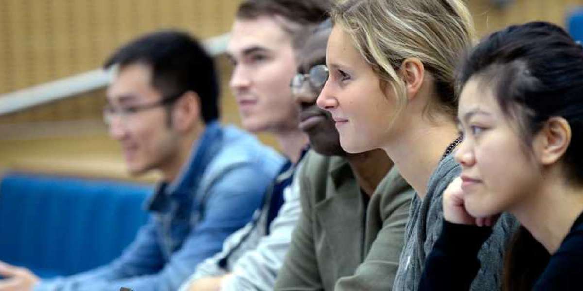 Prepare for the Real Exam with MS-102 Practice Tests