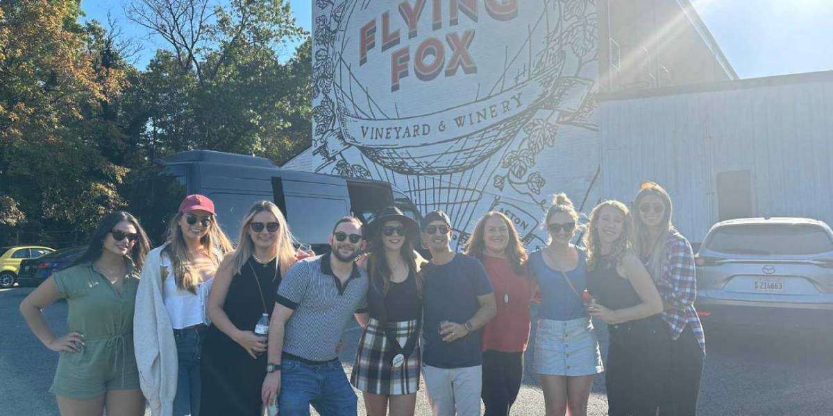 Sipping Through the Blue Ridge: The Ultimate Guide to Charlottesville Winery Tours