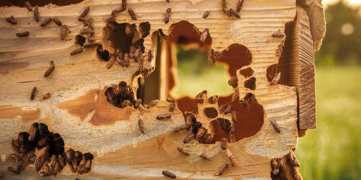 Understanding Integrated Pest Control Mechanisms