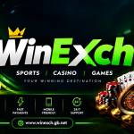 play99 exch Profile Picture