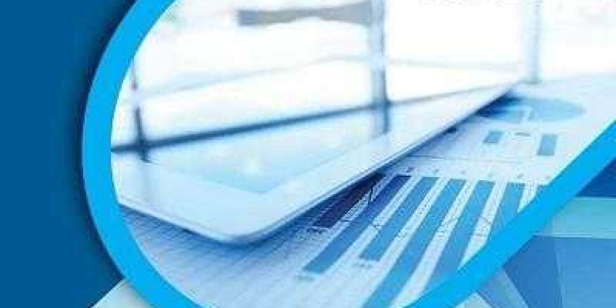 Chicken Powder Market: Key Growth Drivers, Opportunities and Emerging Trends