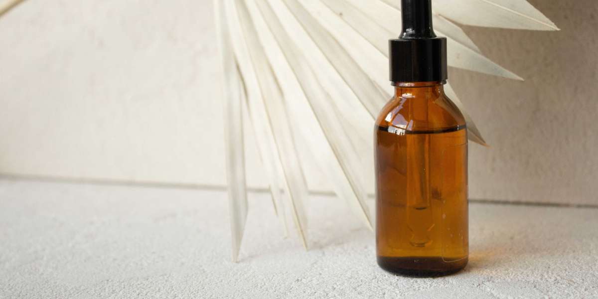 North America Palm Oil Market Demand Rises Across Diverse Industries