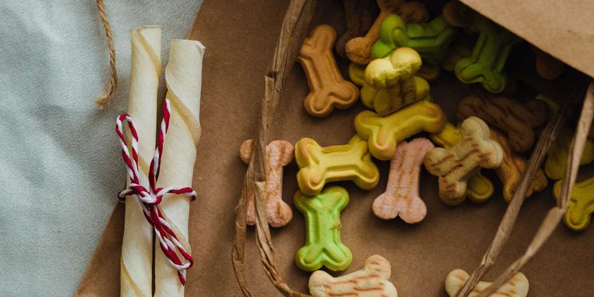 Pet Treat Market Growth Driven by Premium, Natural, and Functional Choices