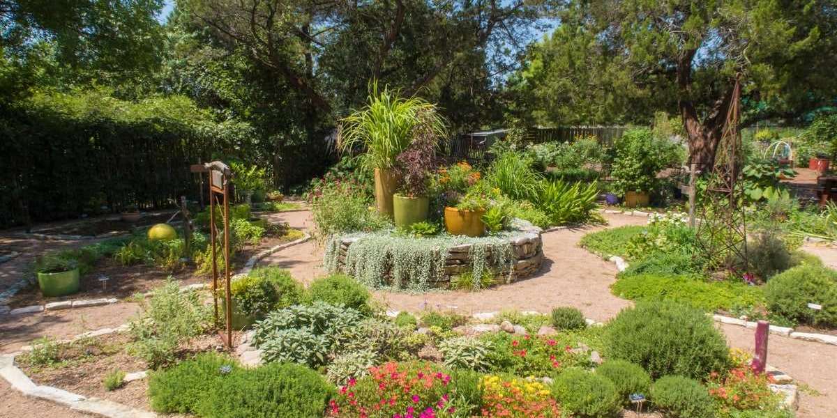 Native Plant Landscaping Houston TX